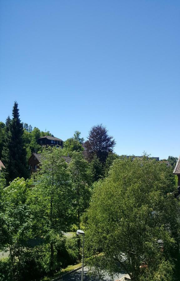 Haus Kuhlmann Appartement Altenau  Buitenkant foto